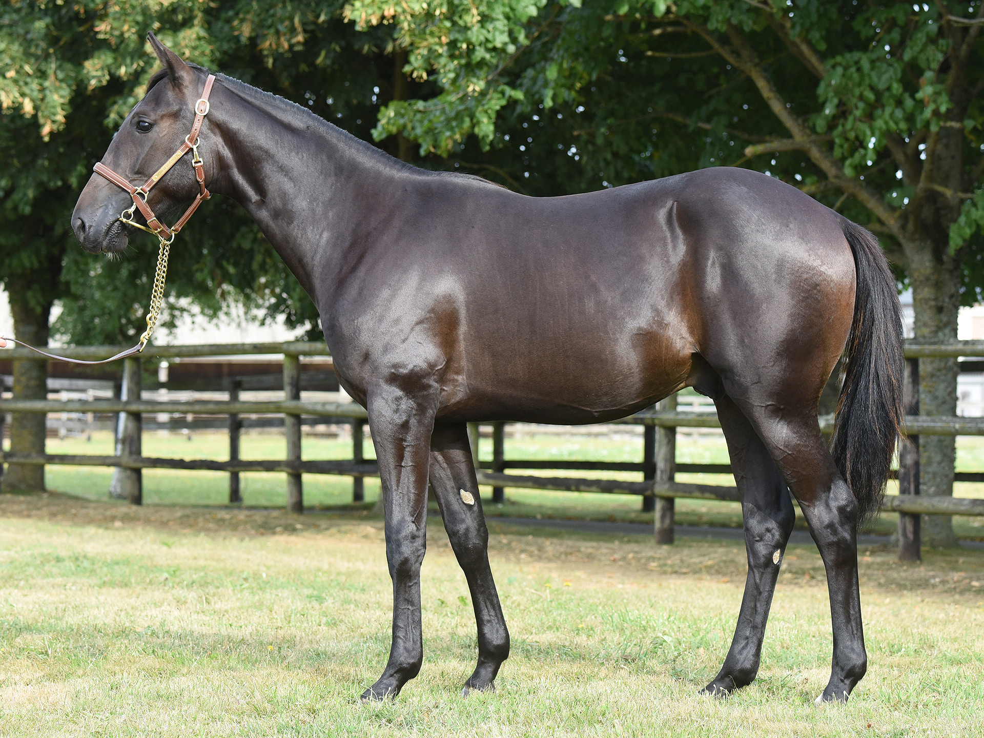 Olhain d&rsquo;Héripre